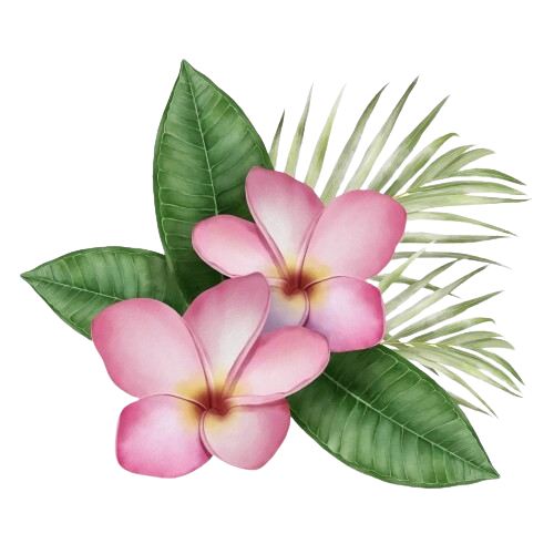 frangipani